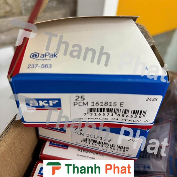 PCM 161815 E SKF - Thành Phát Á Châu