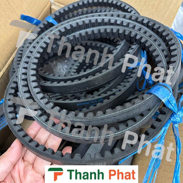 Dây curoa SKF PHG BX71EP